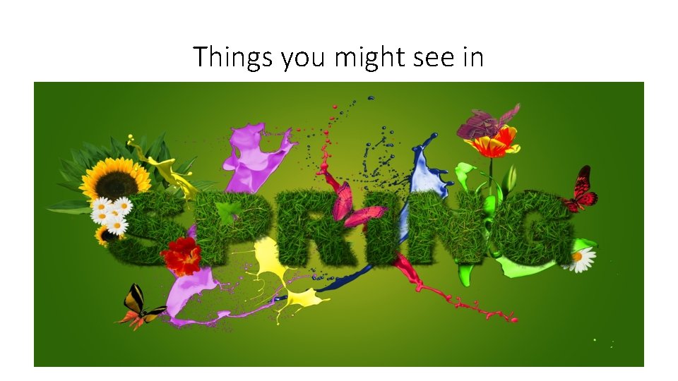 Things you might see in Things you might see in