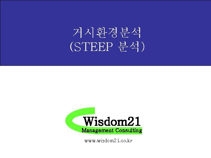 거시환경분석 (STEEP 분석) Wisdom 21 Management Consulting www. wisdom 21. co. kr 
