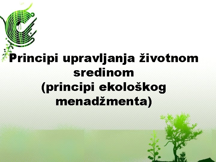 Principi upravljanja životnom sredinom (principi ekološkog menadžmenta) 