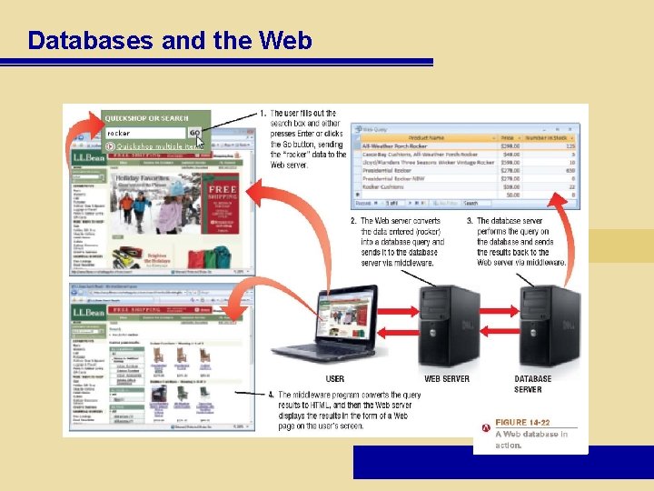 Databases and the Web 