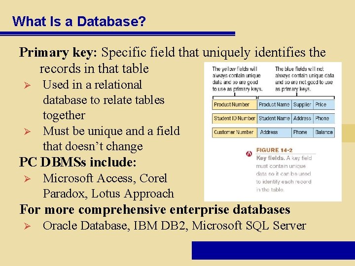 What Is a Database? Primary key: Specific field that uniquely identifies the records in