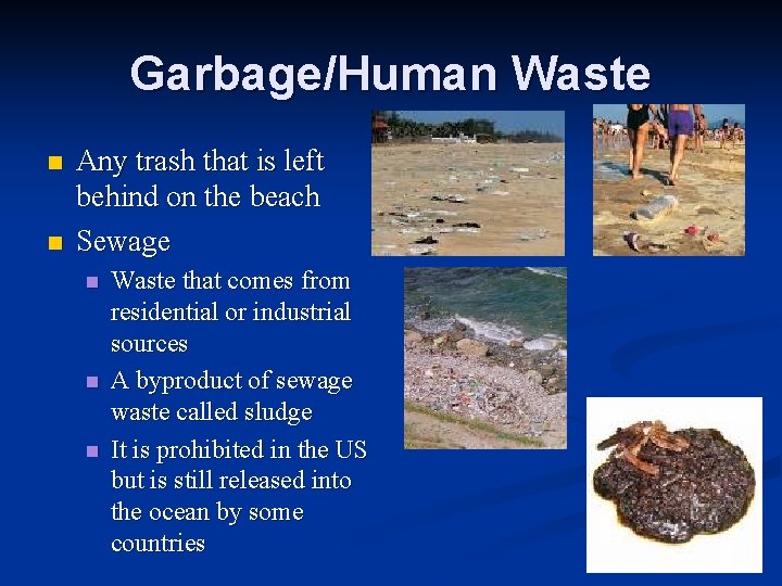 Garbage/Human Waste n n Any trash that is left behind on the beach Sewage