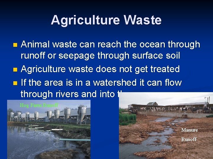 Agriculture Waste Animal waste can reach the ocean through runoff or seepage through surface Agriculture Waste Animal waste can reach the ocean through runoff or seepage through surface
