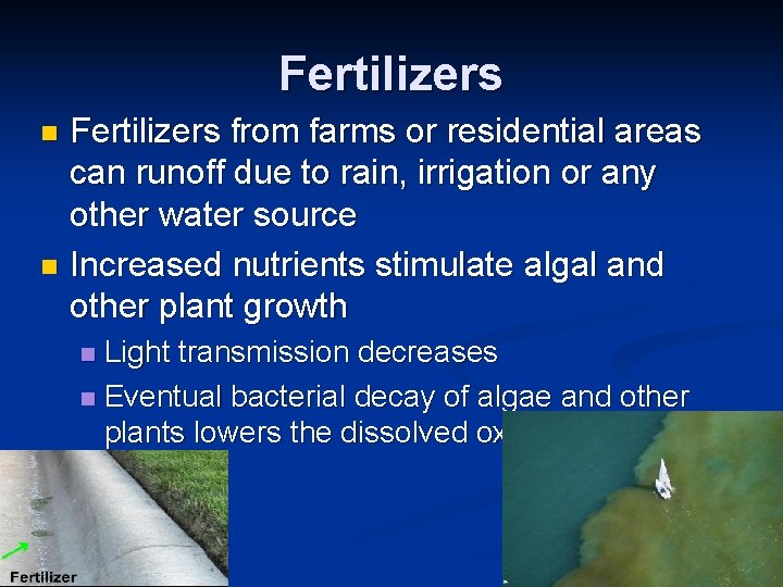 Fertilizers from farms or residential areas can runoff due to rain, irrigation or any