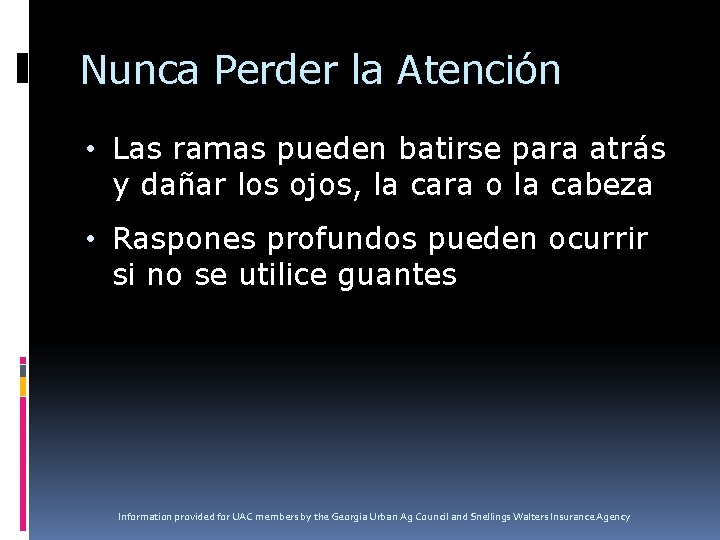 Nunca Perder la Atención • Las ramas pueden batirse para atrás y dañar los