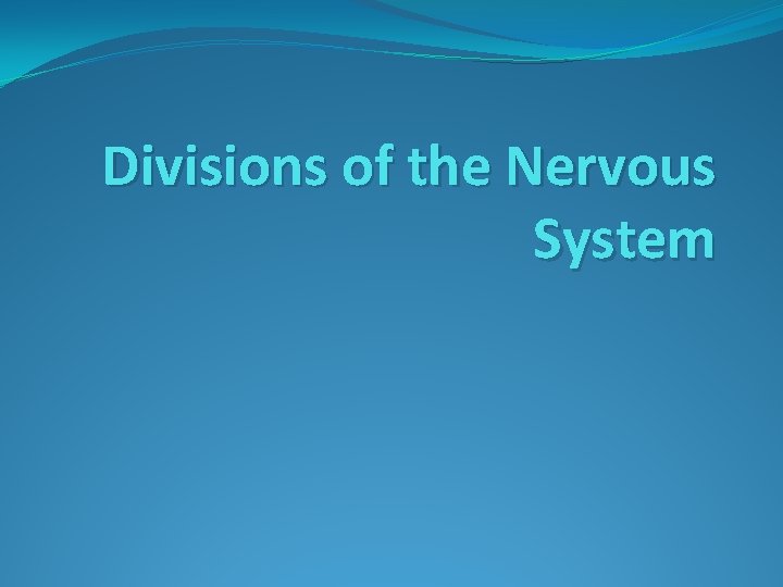 Divisions of the Nervous System 
