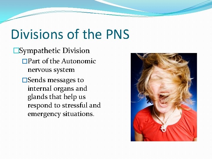 Divisions of the PNS �Sympathetic Division �Part of the Autonomic nervous system �Sends messages