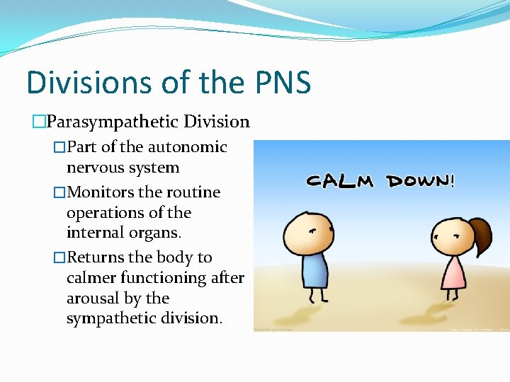 Divisions of the PNS �Parasympathetic Division �Part of the autonomic nervous system �Monitors the