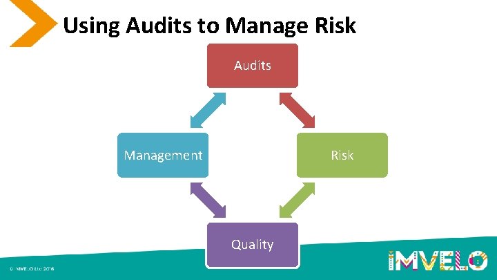 Using Audits to Manage Risk Audits Management Risk Quality 