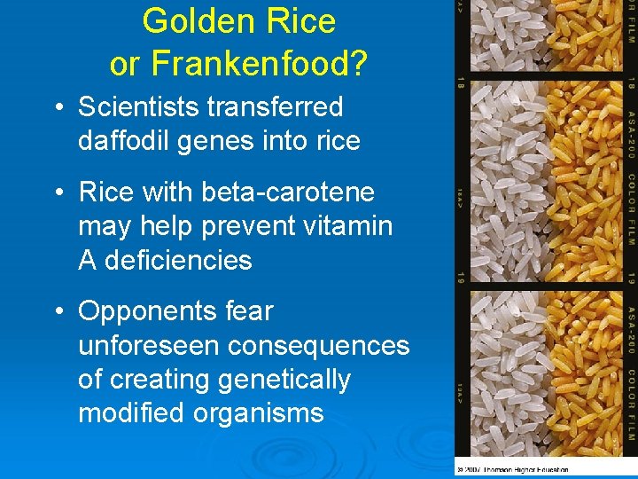 Golden Rice or Frankenfood? • Scientists transferred daffodil genes into rice • Rice with