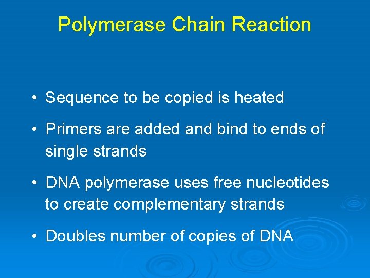 Polymerase Chain Reaction • Sequence to be copied is heated • Primers are added