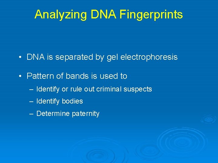 Analyzing DNA Fingerprints • DNA is separated by gel electrophoresis • Pattern of bands