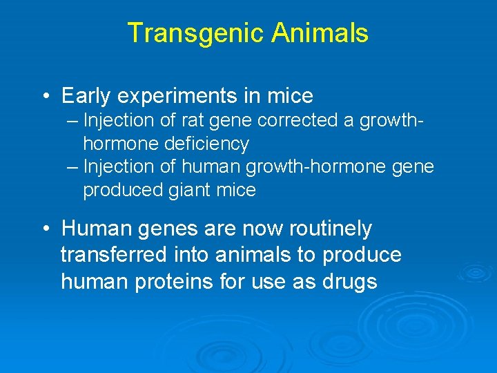 Transgenic Animals • Early experiments in mice – Injection of rat gene corrected a