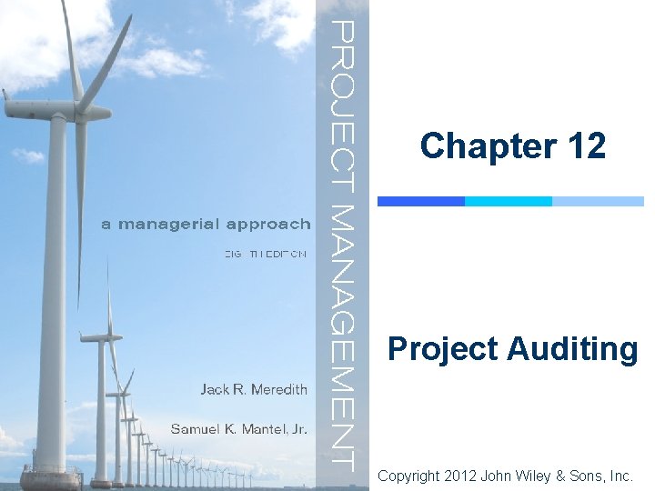 Chapter 12 Project Auditing Copyright 2012 John Wiley & Sons, Inc. 