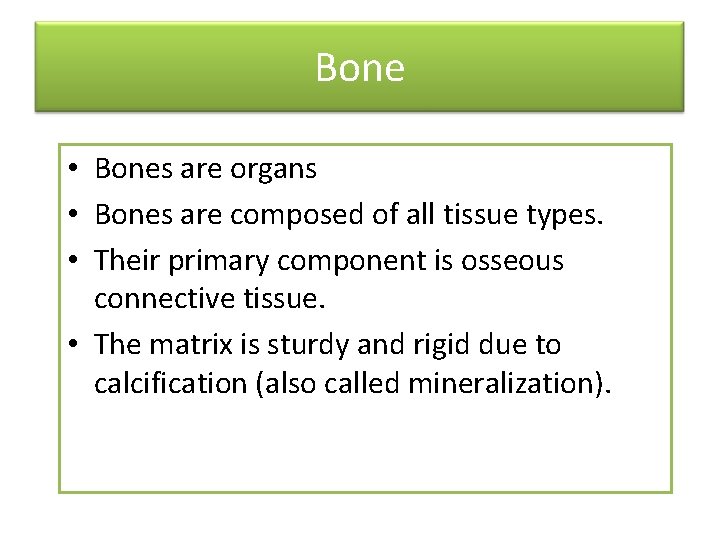 Bone • Bones are organs • Bones are composed of all tissue types. •
