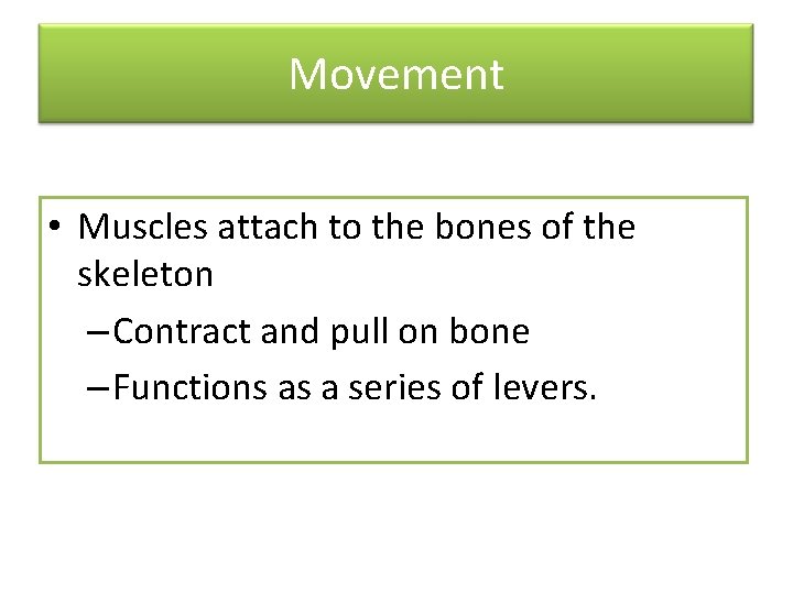 Movement • Muscles attach to the bones of the skeleton – Contract and pull