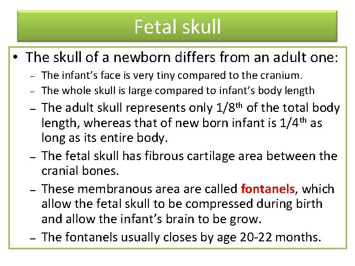 Fetal skull • The skull of a newborn differs from an adult one: –