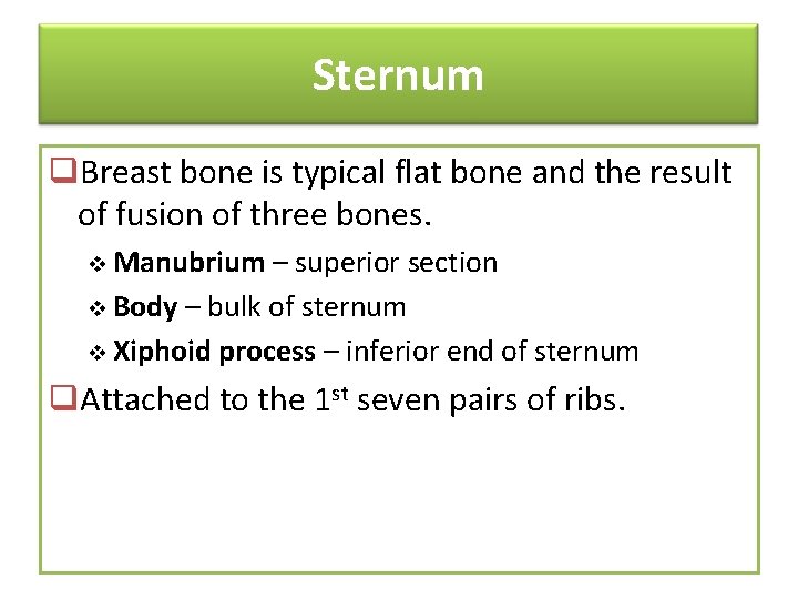 Sternum q. Breast bone is typical flat bone and the result of fusion of