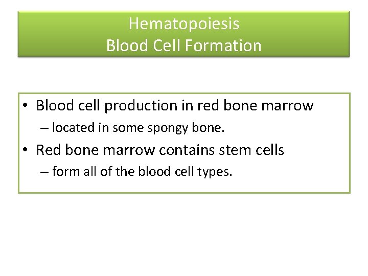 Hematopoiesis Blood Cell Formation • Blood cell production in red bone marrow – located