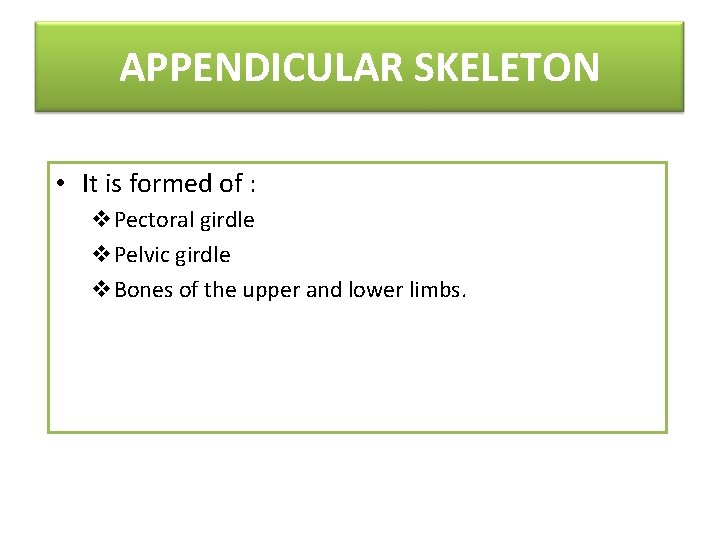 APPENDICULAR SKELETON • It is formed of : v. Pectoral girdle v. Pelvic girdle