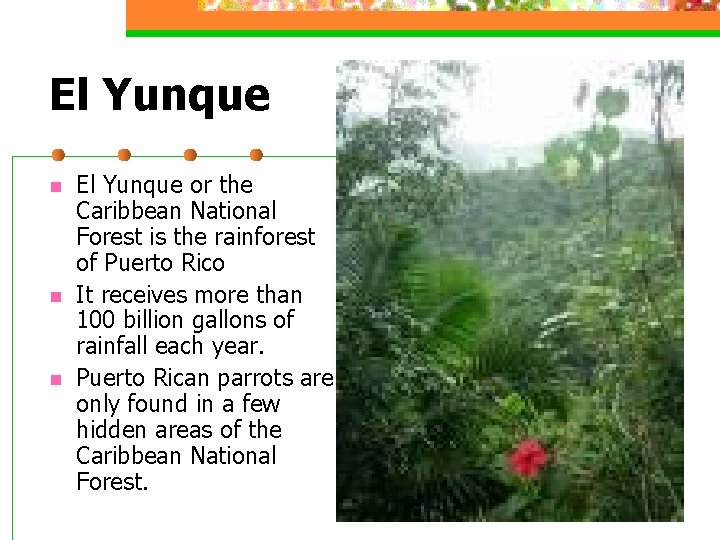 El Yunque n n n El Yunque or the Caribbean National Forest is the