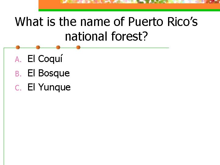 What is the name of Puerto Rico’s national forest? A. B. C. El Coquí