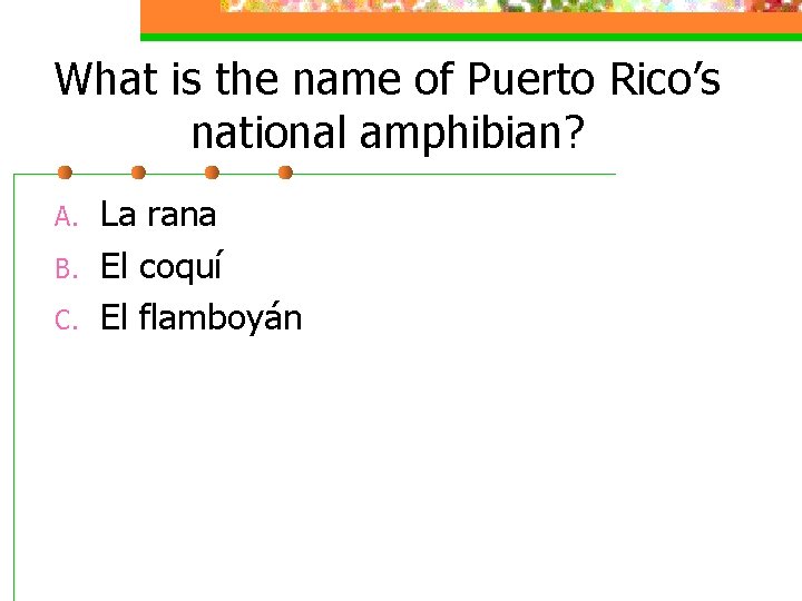 What is the name of Puerto Rico’s national amphibian? A. B. C. La rana