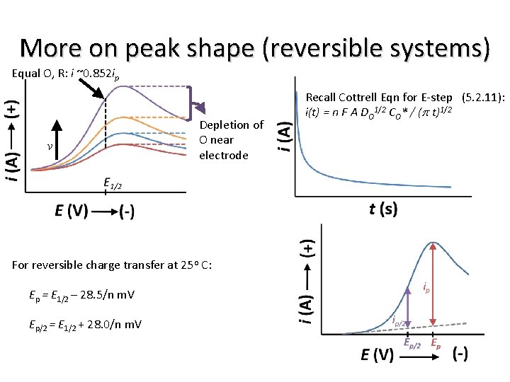 More on peak shape (reversible systems) Equal O, R: i ~0. 852 ip v