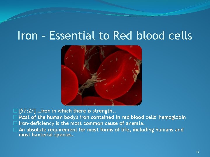 Iron – Essential to Red blood cells � [57: 27] …iron in which there