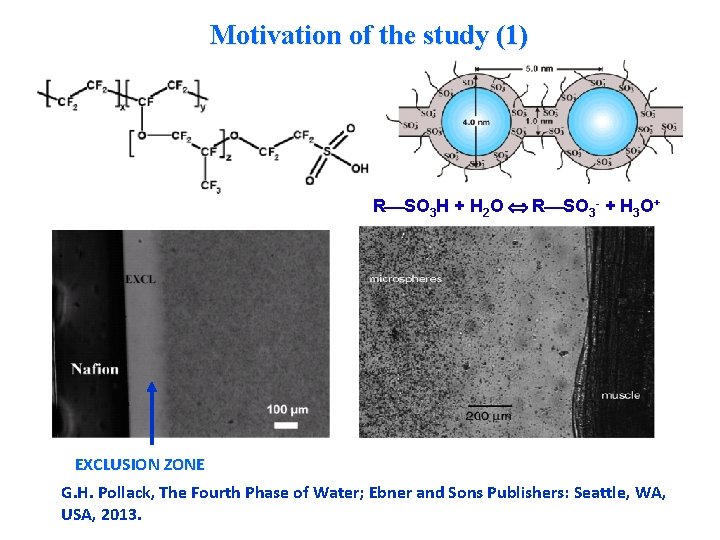 Motivation of the study (1) R SO 3 H + Н 2 О R Motivation of the study (1) R SO 3 H + Н 2 О R