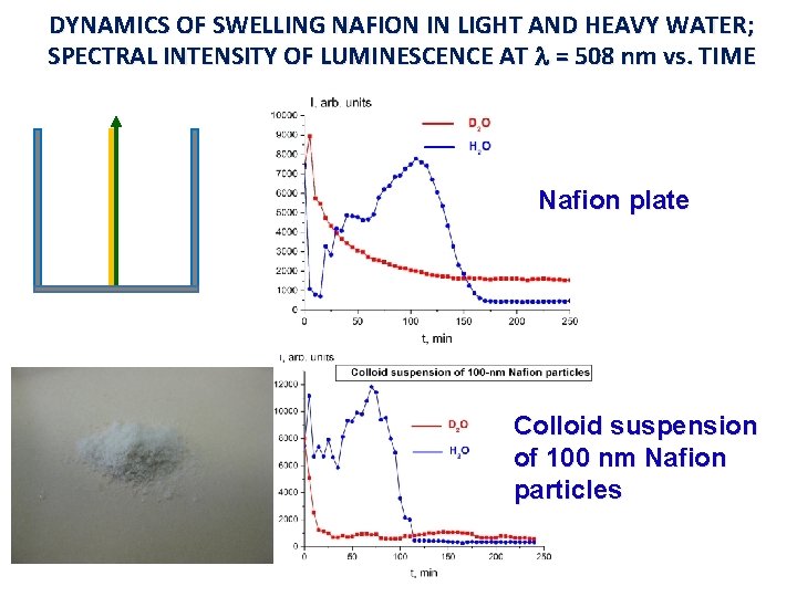 DYNAMICS OF SWELLING NAFION IN LIGHT AND HEAVY WATER; SPECTRAL INTENSITY OF LUMINESCENCE AT DYNAMICS OF SWELLING NAFION IN LIGHT AND HEAVY WATER; SPECTRAL INTENSITY OF LUMINESCENCE AT