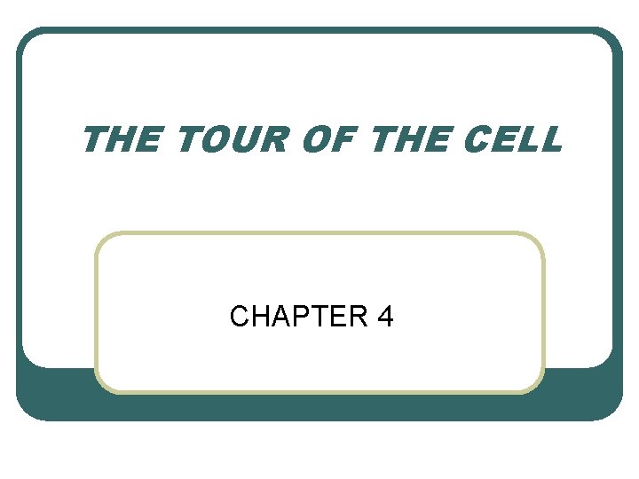 THE TOUR OF THE CELL CHAPTER 4 