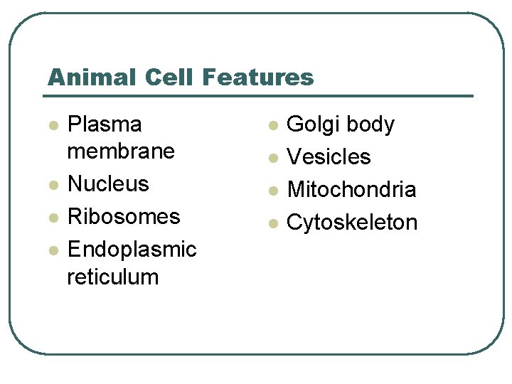 Animal Cell Features l l Plasma membrane Nucleus Ribosomes Endoplasmic reticulum l l Golgi