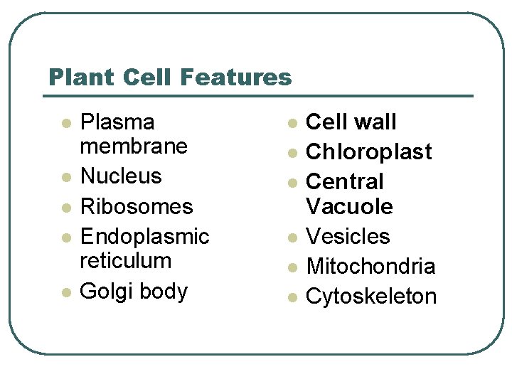 Plant Cell Features l l l Plasma membrane Nucleus Ribosomes Endoplasmic reticulum Golgi body