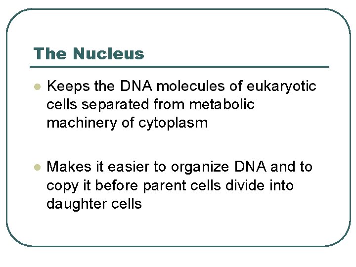 The Nucleus l Keeps the DNA molecules of eukaryotic cells separated from metabolic machinery