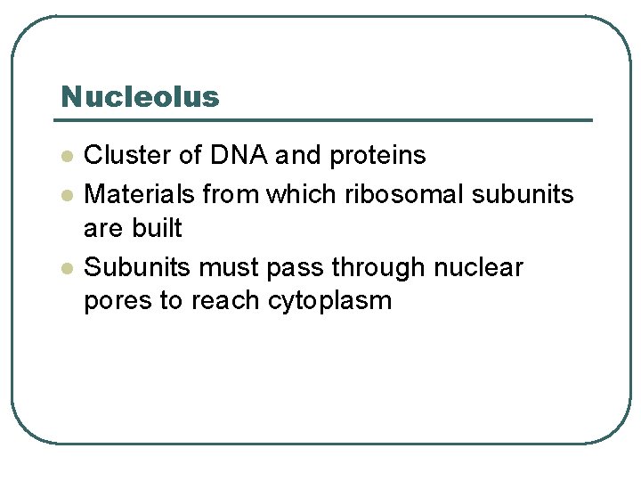 Nucleolus l l l Cluster of DNA and proteins Materials from which ribosomal subunits