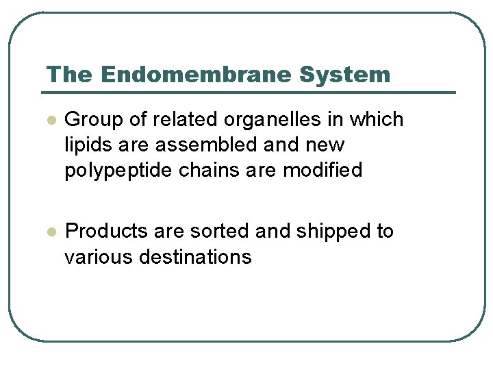 The Endomembrane System l Group of related organelles in which lipids are assembled and