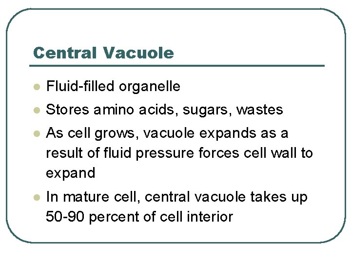 Central Vacuole l Fluid-filled organelle l Stores amino acids, sugars, wastes l As cell Central Vacuole l Fluid-filled organelle l Stores amino acids, sugars, wastes l As cell