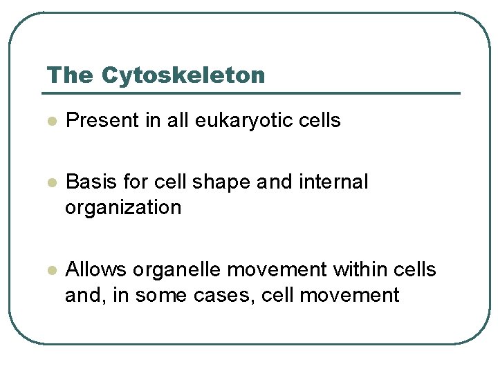 The Cytoskeleton l Present in all eukaryotic cells l Basis for cell shape and