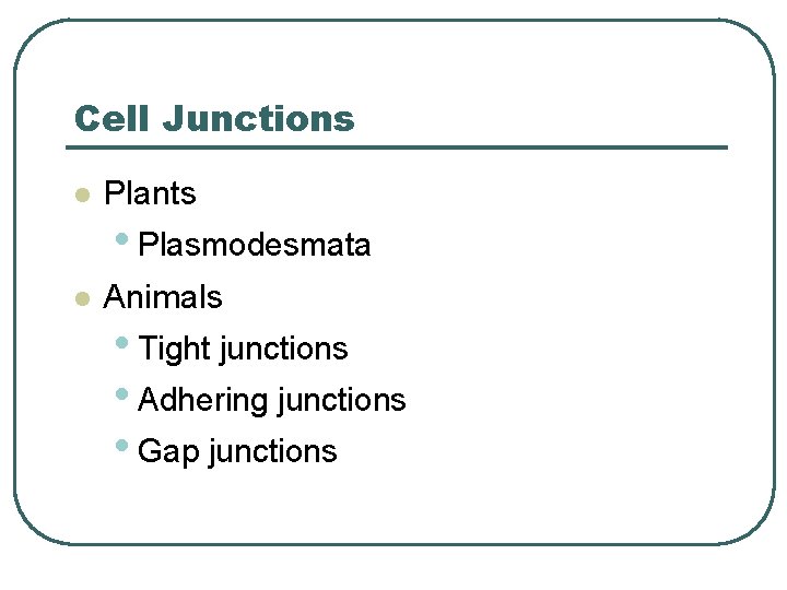 Cell Junctions l Plants • Plasmodesmata l Animals • Tight junctions • Adhering junctions