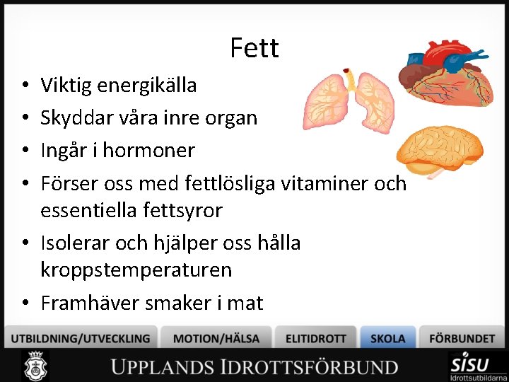 Fett Viktig energikälla Skyddar våra inre organ Ingår i hormoner Förser oss med fettlösliga