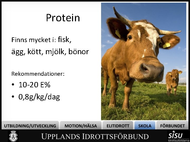 Protein Finns mycket i: fisk, ägg, kött, mjölk, bönor Rekommendationer: • 10 -20 E%