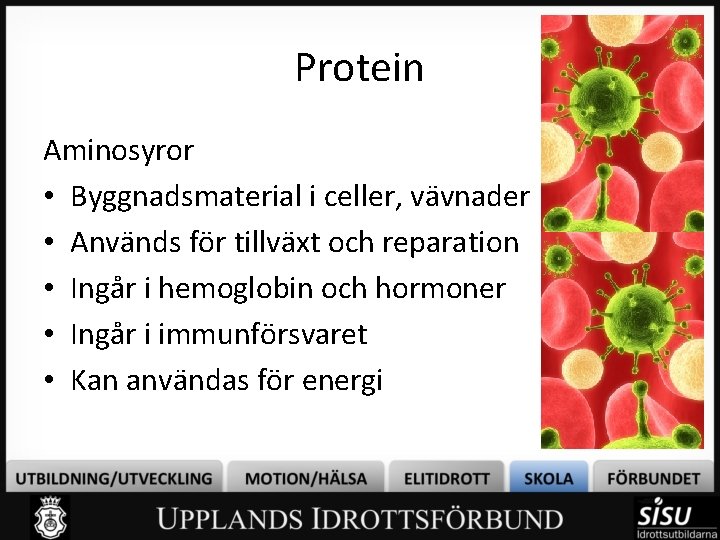 Protein Aminosyror • Byggnadsmaterial i celler, vävnader • Används för tillväxt och reparation •