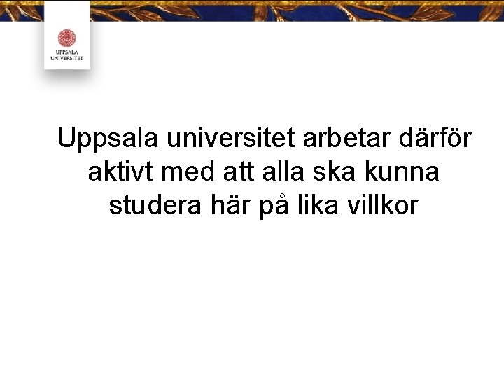 Uppsala universitet arbetar därför aktivt med att alla ska kunna studera här på lika