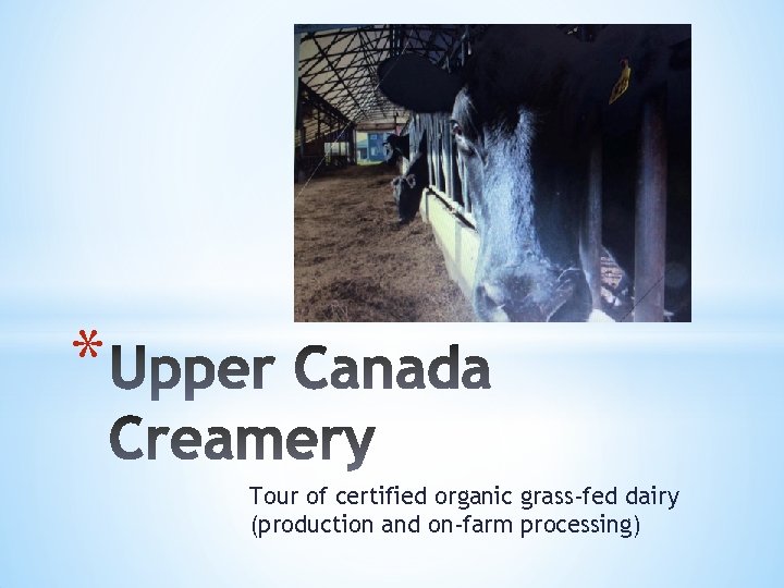 * Tour of certified organic grass-fed dairy (production and on-farm processing) 