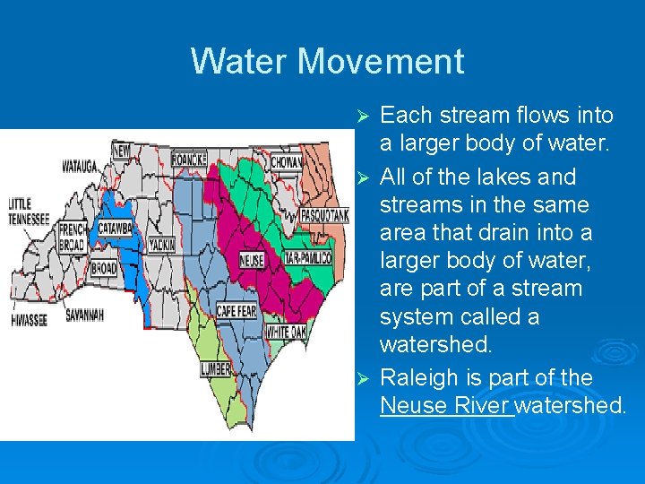 Water Movement Each stream flows into a larger body of water. Ø All of