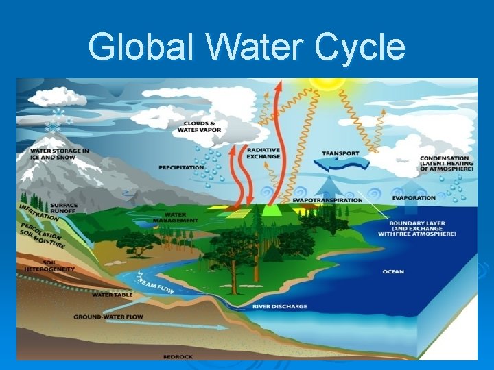 Global Water Cycle 