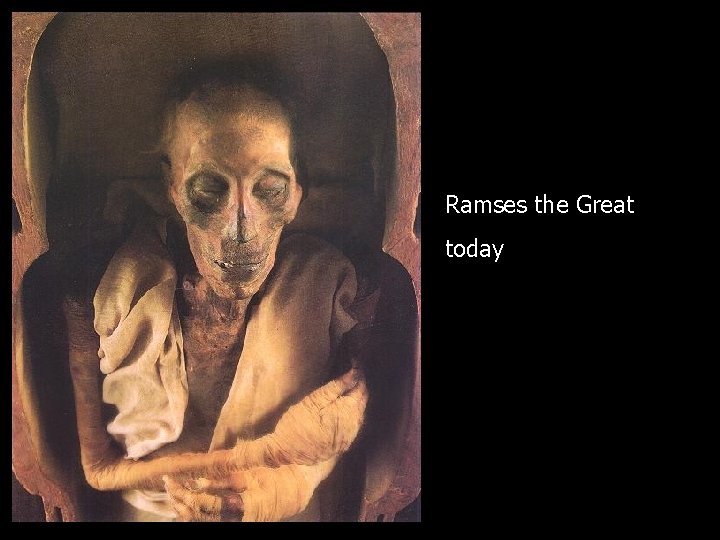 Ramses the Great today 