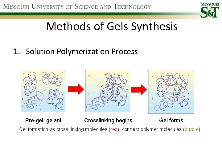 Methods of Gels Synthesis 1. Solution Polymerization Process Pre-gel: gelant Crosslinking begins Gel formation