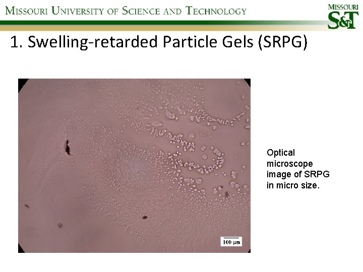 1. Swelling-retarded Particle Gels (SRPG) Optical microscope image of SRPG in micro size. 